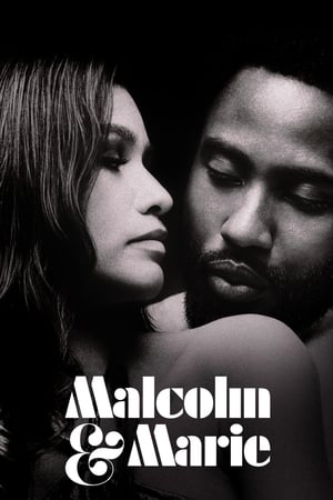 Malcolm ve Marie – Malcolm & Marie izle