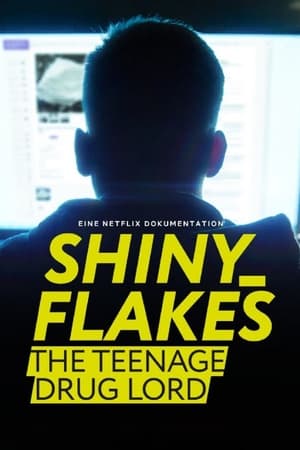 Shiny_Flakes: 19’unda Uyuşturucu Baronu – Shiny_Flakes: The Teenage Drug Lord izle